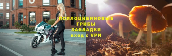 spice Балахна