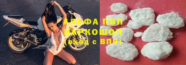 дживик Баксан