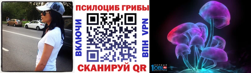 kraken как зайти Валуйки Галлюциногенные грибы мухоморы